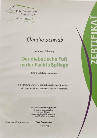 Seminar diabetischer Fuß diabetischer Fuß